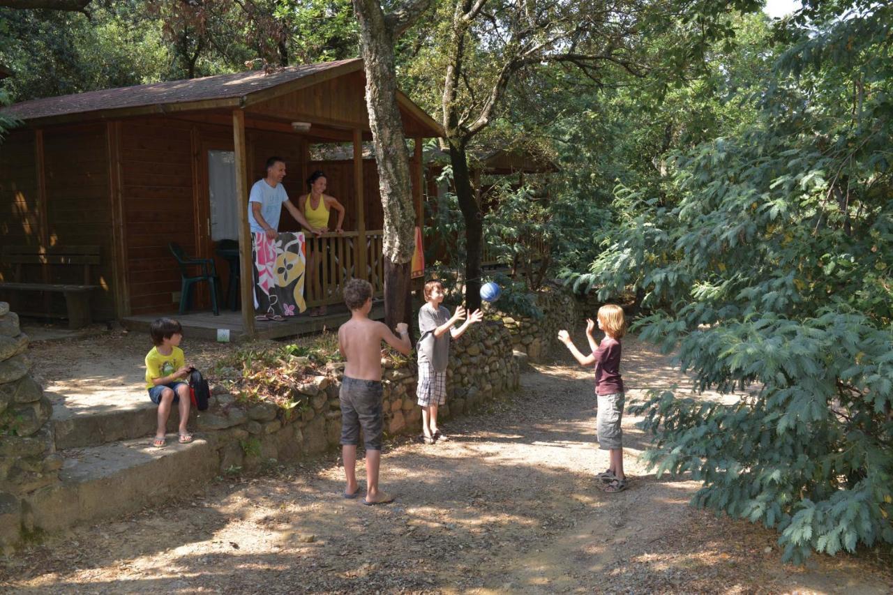 Camping Des Alberes Laroque-des-Albères Buitenkant foto