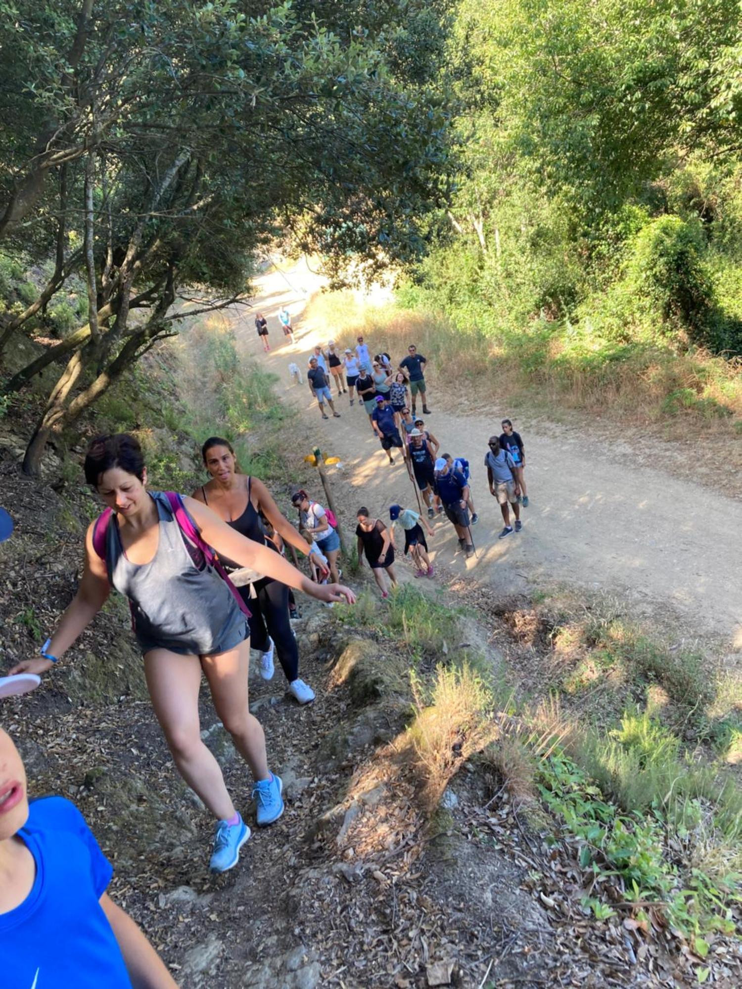 Camping Des Alberes Laroque-des-Albères Buitenkant foto